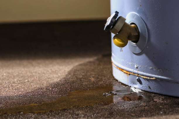 Best Flood restoration services  in Nevada, TX