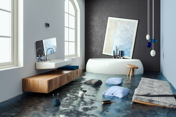 Best Water damage cleanup near me  in Nevada, TX