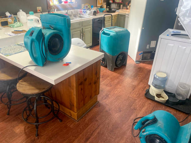 Best Residential water damage restoration  in Nevada, TX