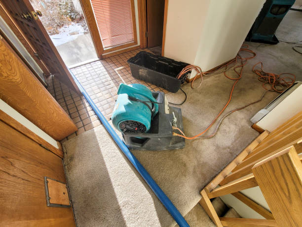 Best 24-hour water damage restoration  in Nevada, TX