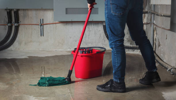 Best Fire Damage Restoration  in Nevada, TX