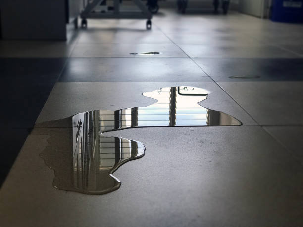 Best Water damage restoration cost  in Nevada, TX