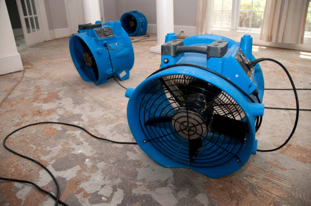 Best Water damage restoration mold remediation  in Nevada, TX