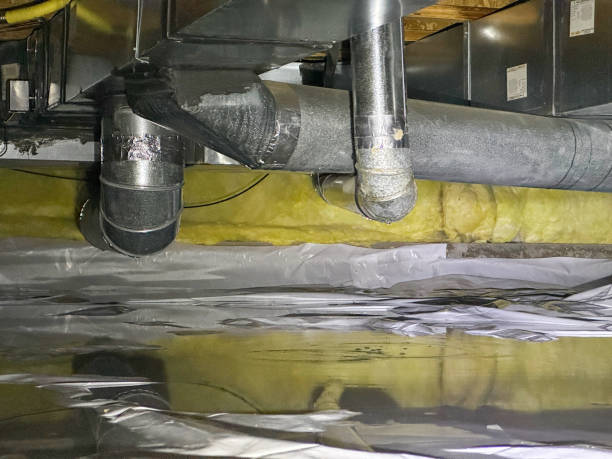 Best Water damage cleanup near me  in Nevada, TX