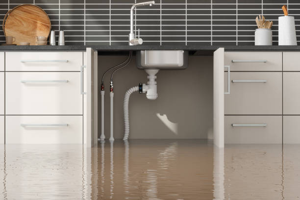 Local water damage restoration in Nevada, TX