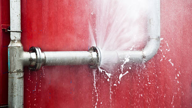 Carpet water damage restoration in Nevada, TX