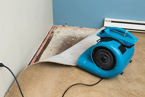 Best Flood restoration services  in Nevada, TX